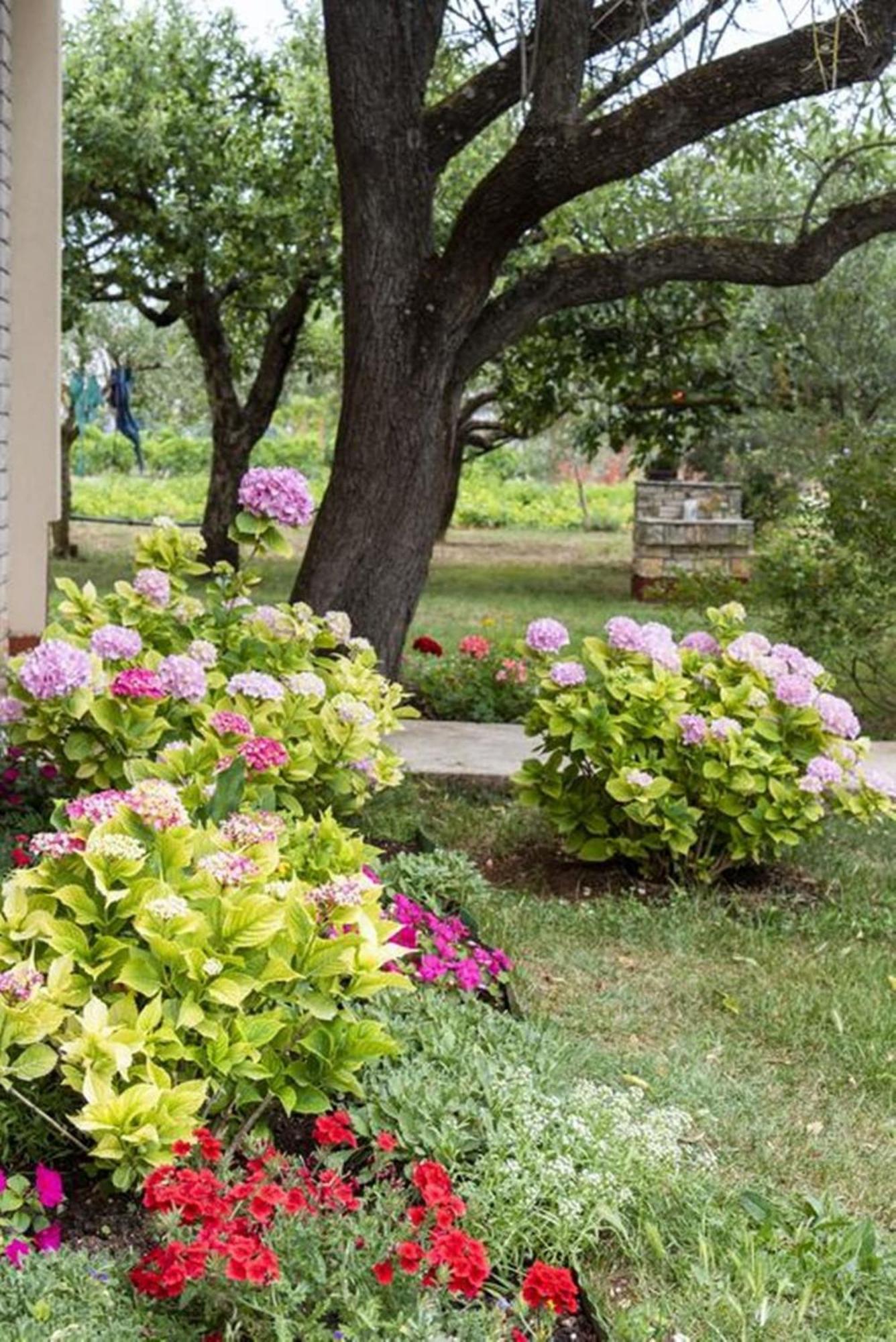 Flower Garden Rhapsody - Modern Family Apartments Near Fažana エクステリア 写真